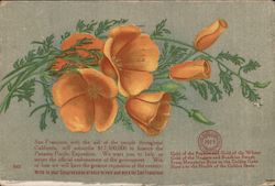 Booster California Poppies, $17M PPIE Adv. Postcard