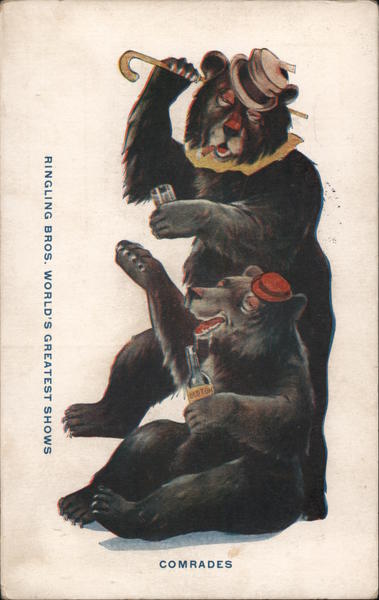 Trained Bears: Comrades Circus