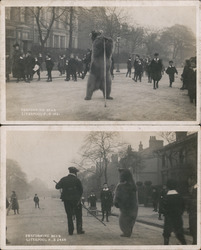 Set of 2: Performing Bear, Liverpool Postcard