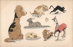 Several Dogs Sitting and Lying Around Series 555 Postcard