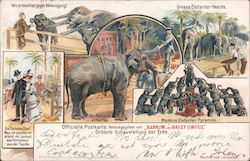 Elephant Exhibition from Barnum & Bailey's Circus Postcard