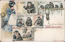 Views of Barnum & Bailey Monkies Postcard