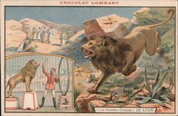 Chocolat Lombart (Les Grandes Chassas) Le Lion Circus Postcard Postcard Postcard