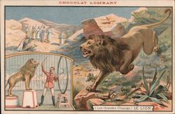 Chocolat Lombart (Les Grandes Chassas) Le Lion Postcard