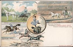 Horse Exhibition Illustrations from Barnum & Bailey's Circus Postcard