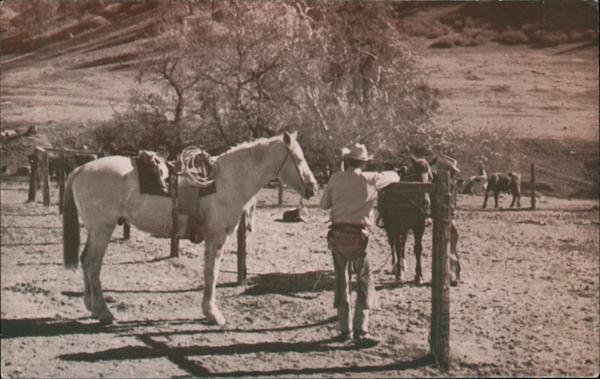 Rankin Ranch Walker's Basin Caliente California