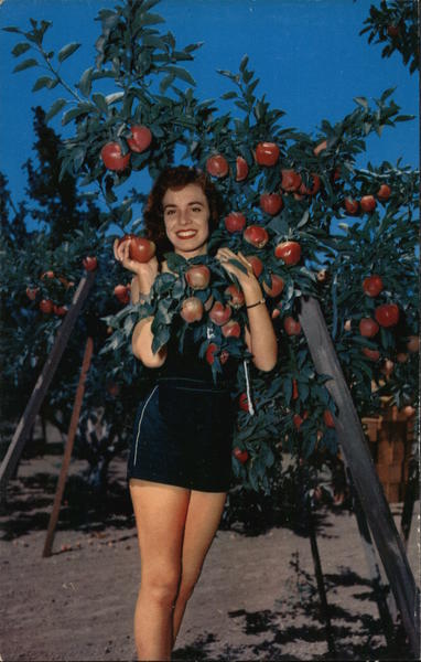 Red Delicious Apples The Pajaro Valley is the Apple Capital of California Watsonville