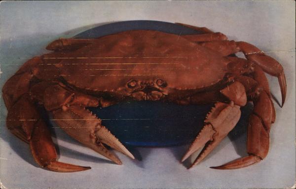 Jumbo Humboldt Crab compliments of Weatherby's Seafood Restaurant Eureka California