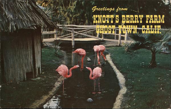 Greetings from Knott's Berry Farm