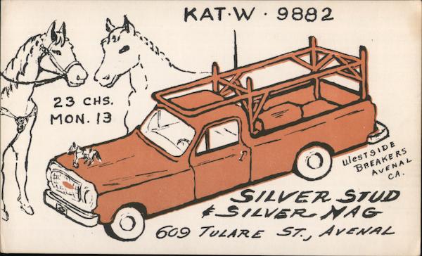 Silver Stud & silver nag Avenal California