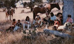 Rankin Ranch Walker's Basin, Kern County Postcard