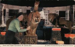 Stock #797630 Thumbnail