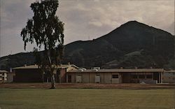 The Friendly Inn Postcard