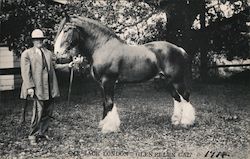 Jack London and Stallion Authors & Writers Postcard Postcard Postcard