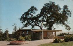 Chamber of Commerce Sunnyvale, CA Postcard Postcard Postcard