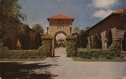 Towers Stanford University Postcard