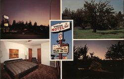 Viking Motel Postcard