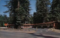 La Honda "Hilltom" Motel Postcard