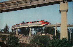 Disneyland Postcard
