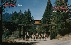 Greetings from Camp Seely Crestline, CA Postcard Postcard Postcard