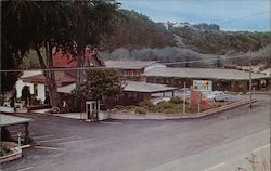 Blue Bird Motel Postcard