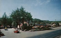Bluebird Motel, Cambria Calif. Postcard