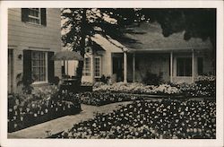 Stock #798620 Thumbnail