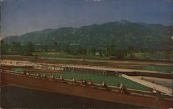 Horses parading to the post at beautiful Santa Anita Park Postcard