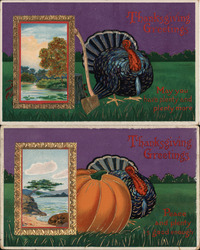 Set of 2: Turkey Vignettes Series 7152 Turkeys Postcard Postcard Postcard