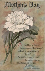 Mother's Day - White Carnation Postcard