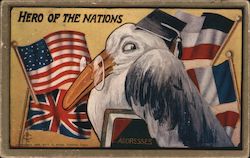 Hero of the Nations (bird wearing a graduation cap in front of various country flags) Postcard