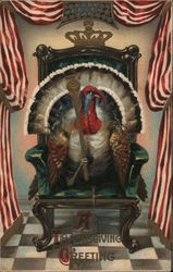 Turkey Sitting on Throne Chair Postcard