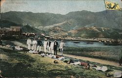 Chinese Execution: Beheaded on Beach Postcard