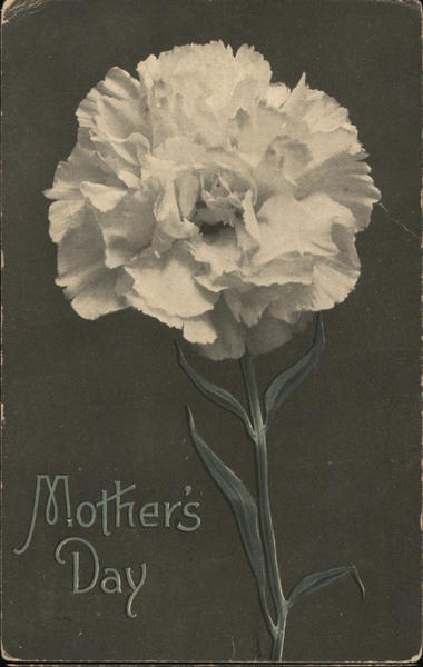 Mother's Day - White Carnation Greetings
