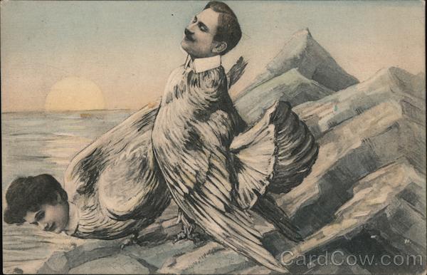 Birds With People Heads Chantecler Couples