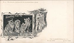 Stock #803825 Thumbnail