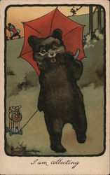 I am collecting Postcard