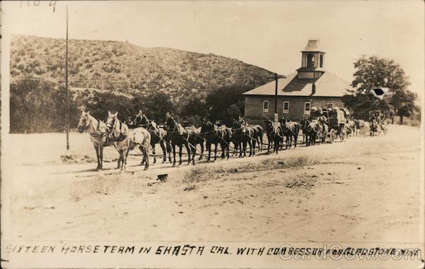 Sixteen Horse Team Shasta California