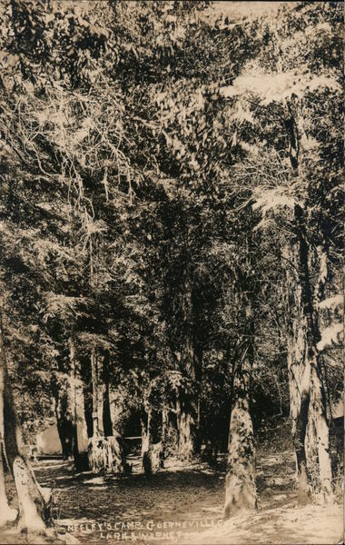 Neeley's Camp Guerneville California Lark & Varne
