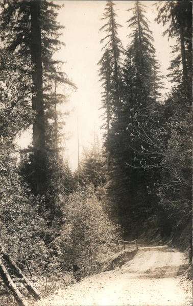 Drugs and Kodaks Guerneville California