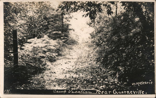 Camp Vacation California W.M. McClearie
