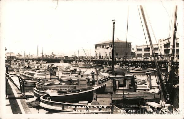 Fisherman's Wharf San Francisco California Owl