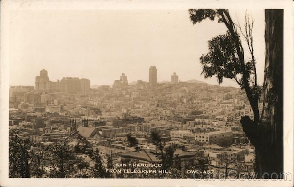 San Francisco From Telegraph Hil California Owl