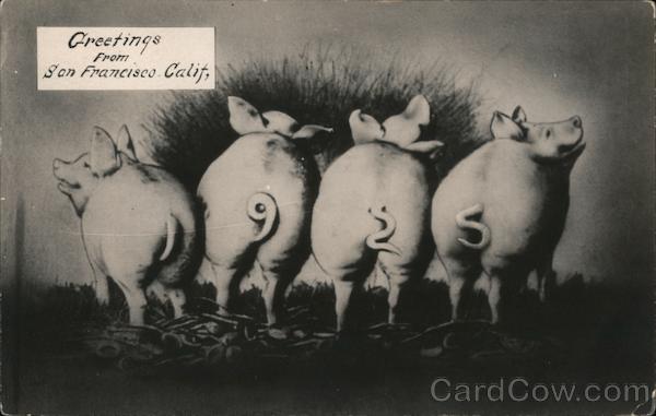 1925 Greetings from San Francisco Pigs California
