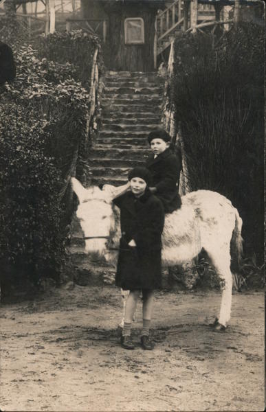 Children on Donkey Donkeys
