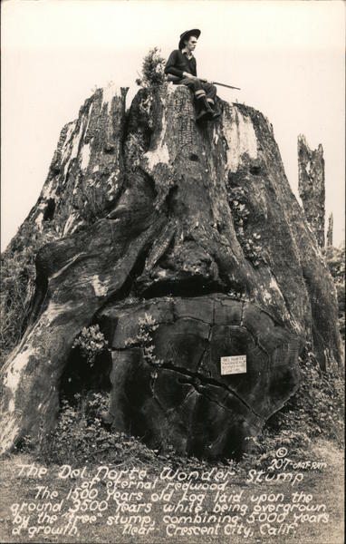 The Del Norte Wonder Stump of Eternal Redwood Crescent City California