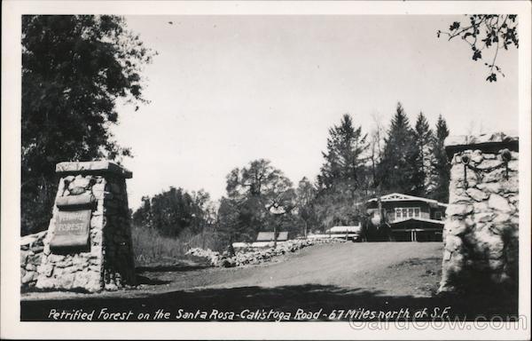 Petrified Forest on the Santa Rosa -Calistoga Road San Francisco California
