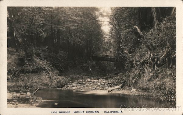 Log Bridge Mount Hermon California
