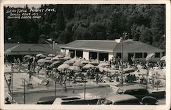 Beautiful Forest Pool - Santa Cruz Mts. Boulder Creek, CA Postcard Postcard Postcard