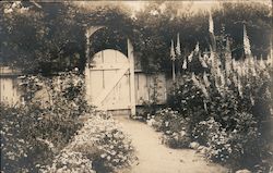 Yard with flowers, gate - Probably Santa Clara County Postcard
